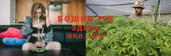 индика Бугульма