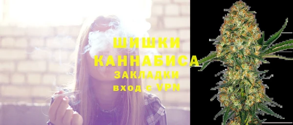 спайс Богданович