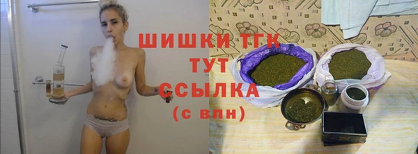 индика Бугульма