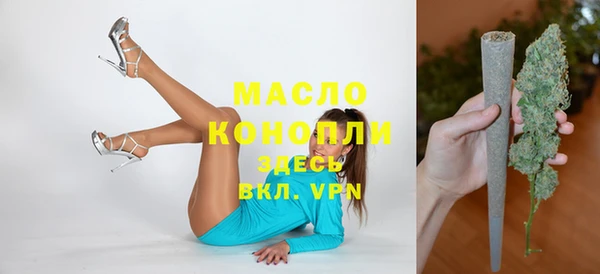 Альфа ПВП Бородино