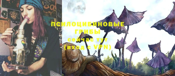 стафф Бронницы
