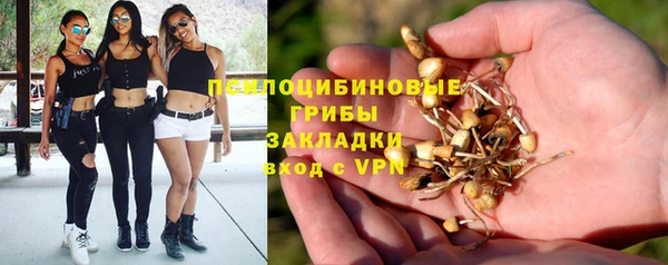 Альфа ПВП Бородино