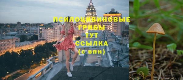 спайс Богданович