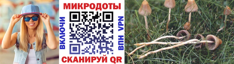 Псилоцибиновые грибы мицелий  Дальнегорск 